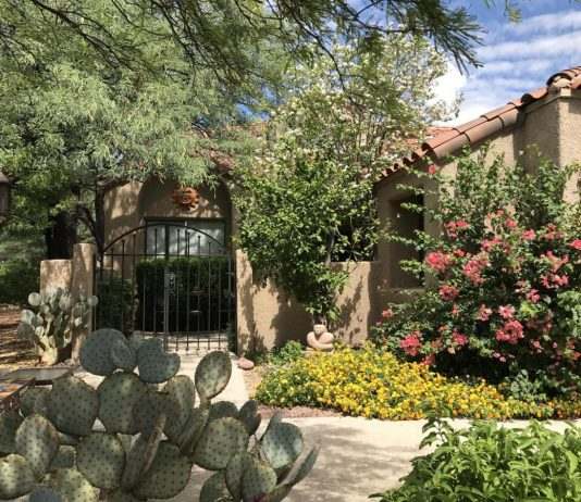 North Tucson Condos For Sale